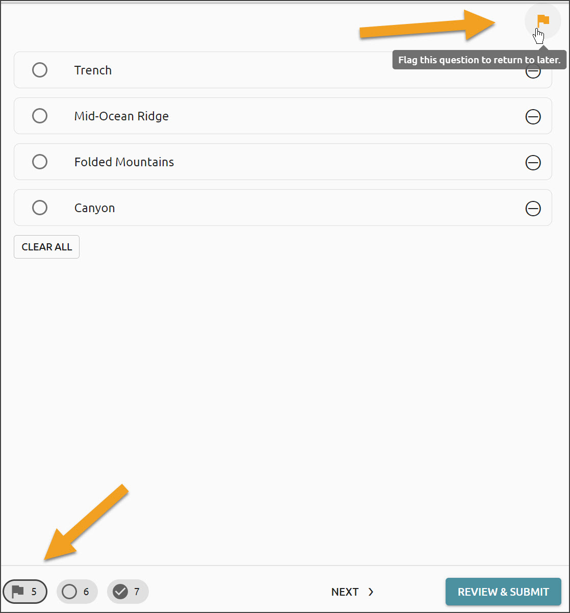 _position_11__Online_Testing_Features_Flagging_Questions_for_Review_Option_B.jpg