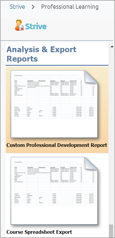custom_professional_development_report.png